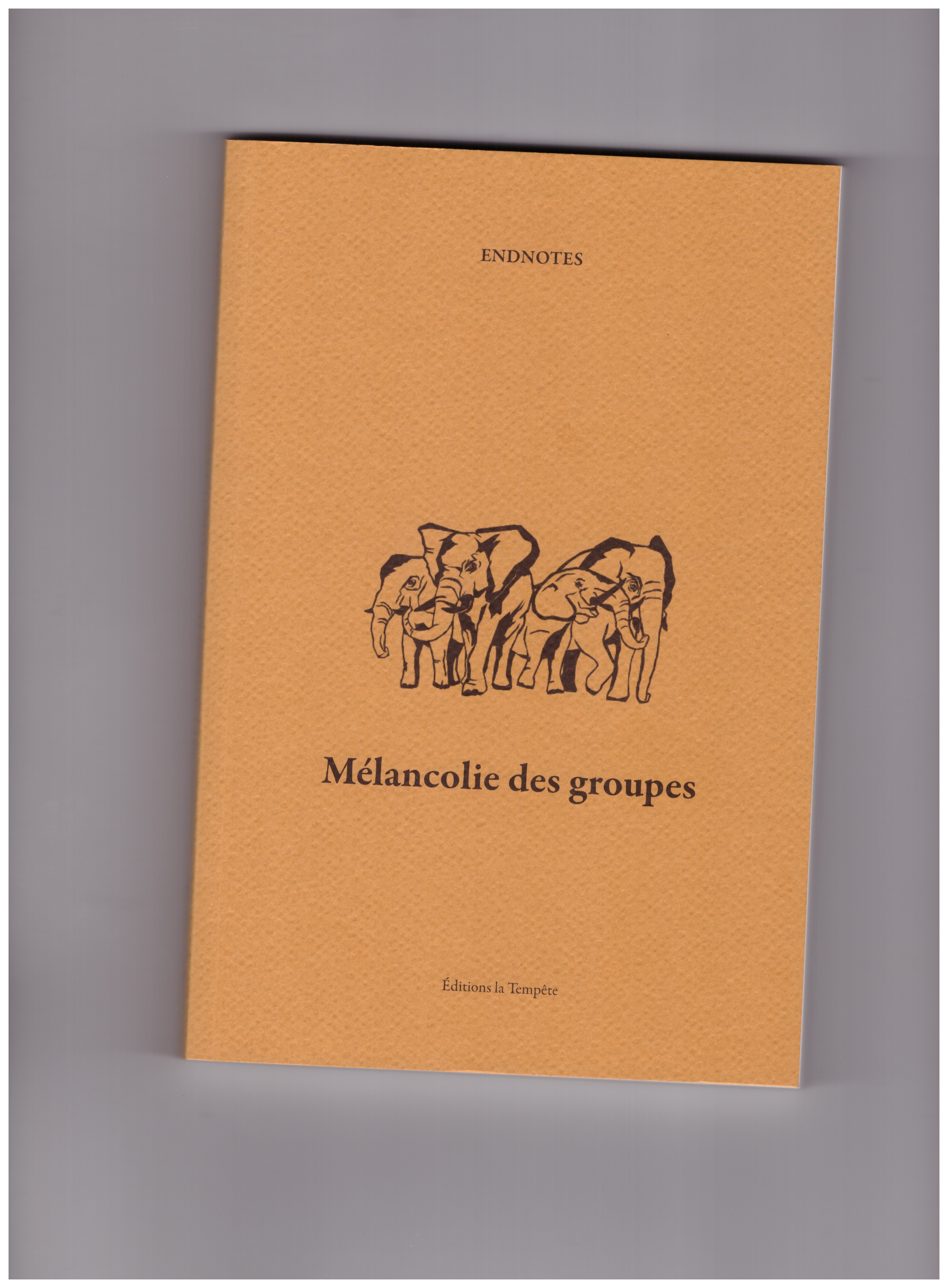 ENDNOTES - Mélancolie des groupes